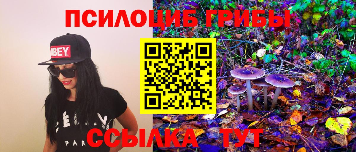 Псилоцибиновые грибы MAGIC MUSHROOMS Сухой Лог