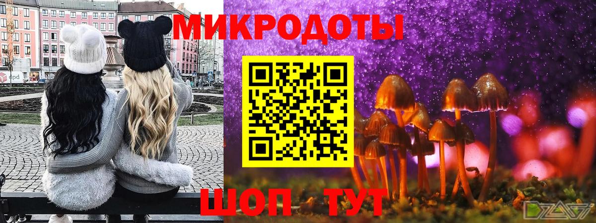 Сухой Лог  Галлюциногенные грибы мухоморы  Вход с VPN 